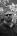 Dresdner5977's Avatar
